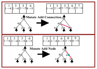 Mutation in NEAT.